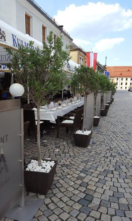 Restaurant ALFA Griechische Spezialitaten